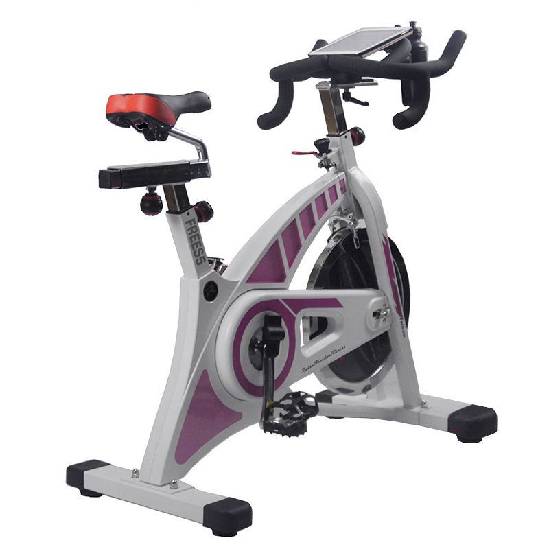 美国RUOSAI动感单车RS5超静音家用健身车健身器材脚踏运动自行车