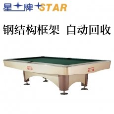 星牌STAR台球桌花式九球台球桌 标准尺寸桌球台 XW138-9B全套配置